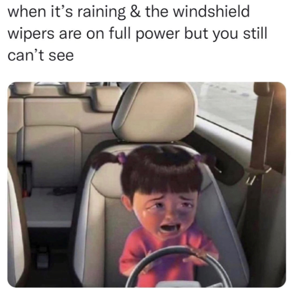 When Calm Meets Chaos in the Rain