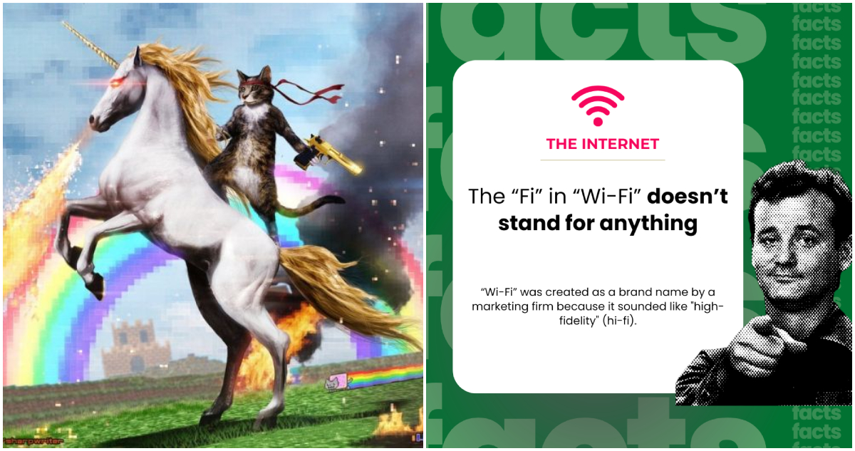 Wild Facts About The Internet That’ll Make Your Brain Buffer