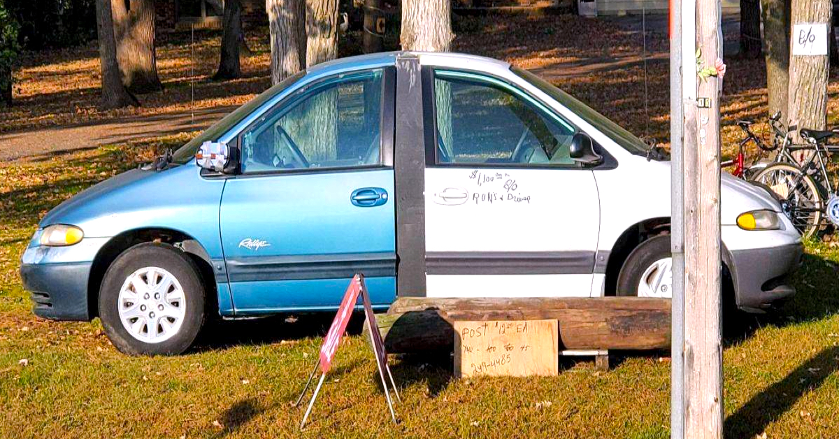 Daily Afternoon Randomness