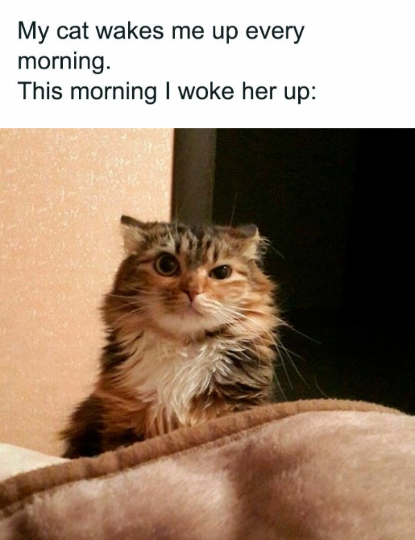 Morning Memes For Those Who Don't Do Mornings