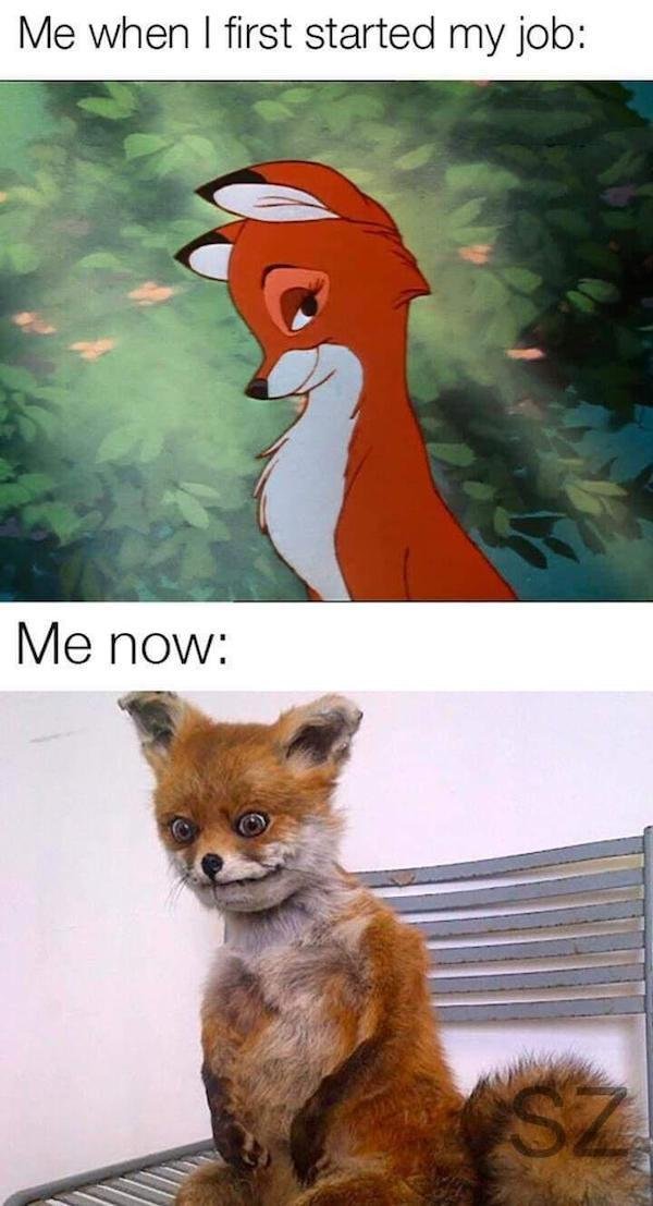 Getting Less Meme Logic-LESS Memes of Funny Humor Photos and Top Captions Pictures