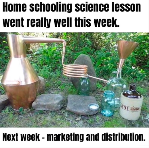 Mind-LESS Memes are Funny Stupid yet Too TRUE Top Humor Photo Captions
