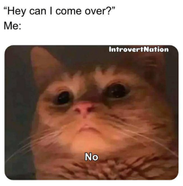 Introvert Memes That Speak Louder Than We Ever Will