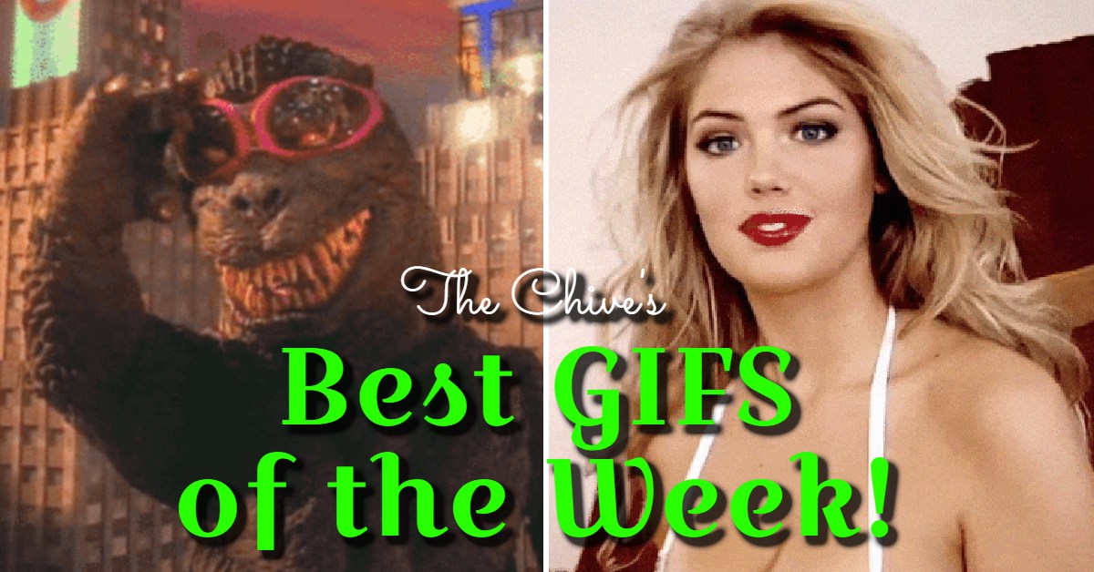Chive Best Awesome Photos | Daily Awesome Videos & Awesome GIFs - theCHIVE