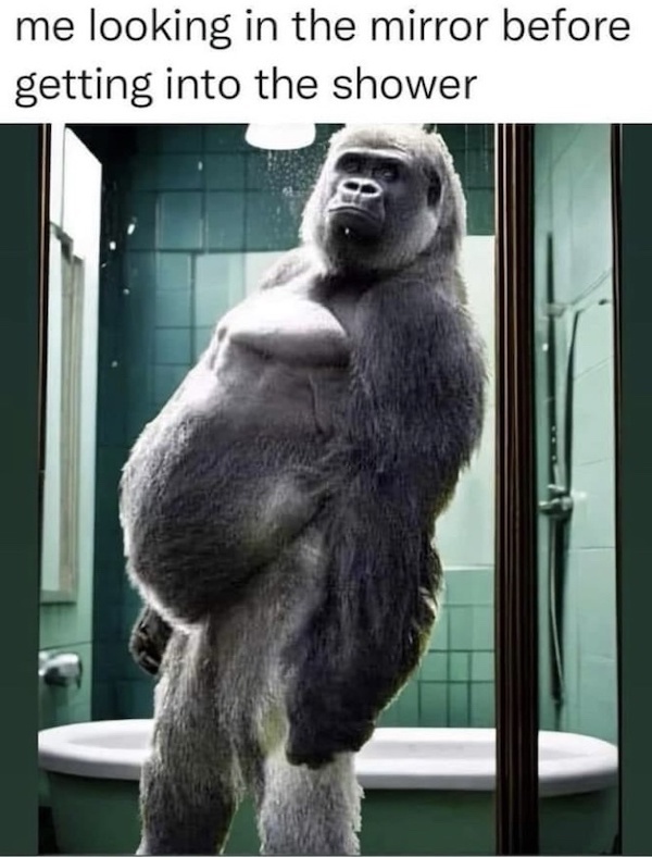 Beer-a-FULL Memes Funny Drinking Friday of Stupid Wis-DUMB Thoughts