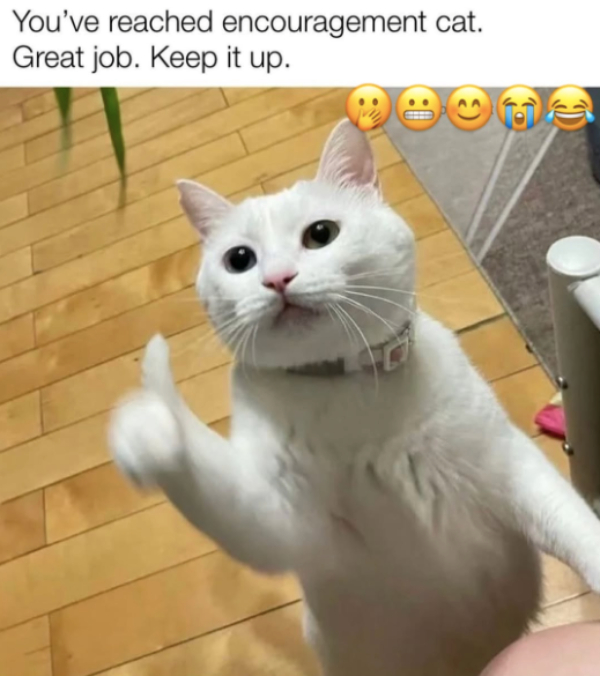 Honestly, Valid Reaction