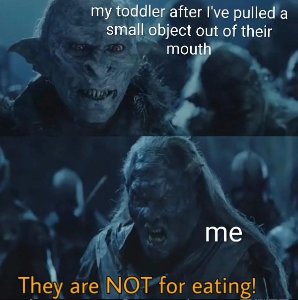 LOTR Memes That Hit Harder Than a Balrog in Moria