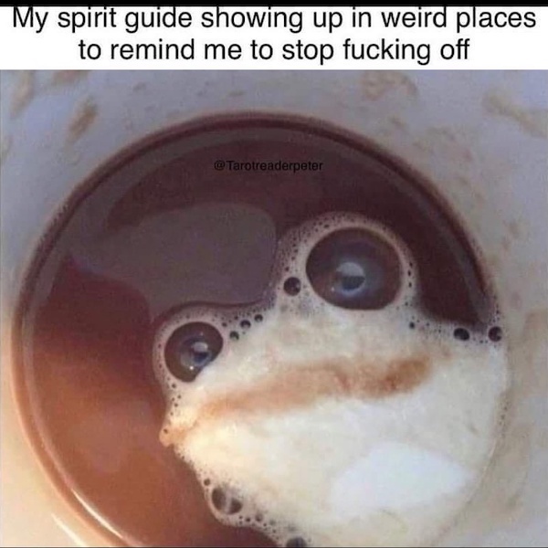 Mind-LESS Memes of Funny Stupid yet Too TRUE Monday Sucks Photos 2026