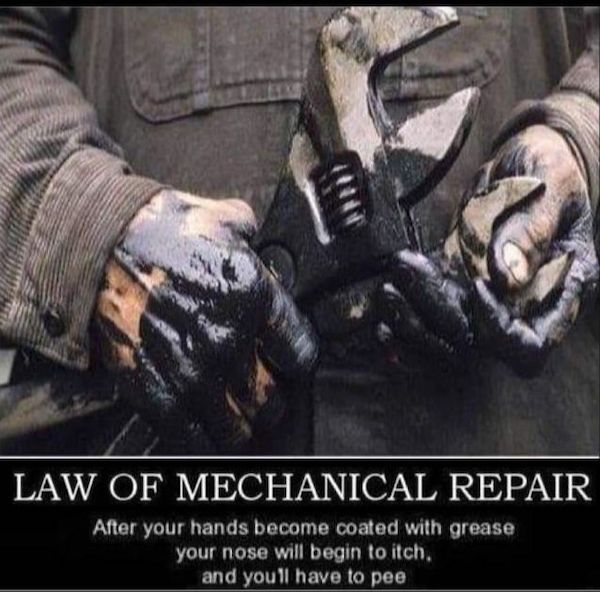 Mind-LESS_memes-01_06_26-33_20.jpeg?attachment_cache_bust=5161062&quality=85&strip=info&w=600