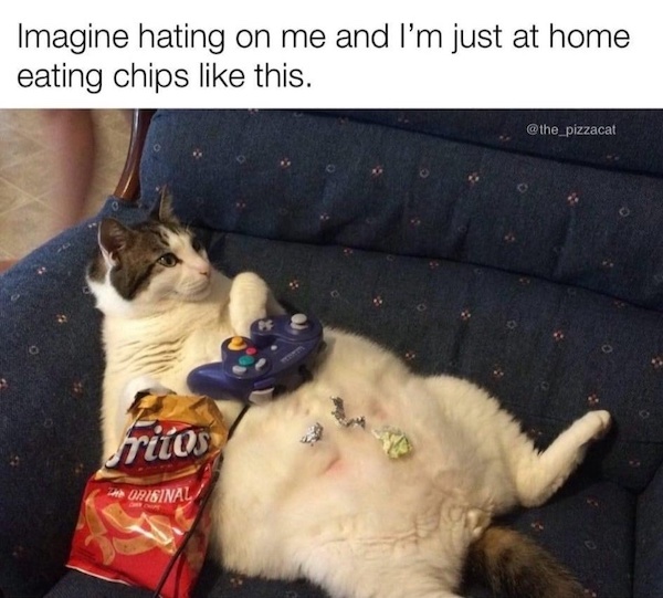 Mind-LESS Memes of Funny Stupid yet Too TRUE Monday Sucks Photos 2026