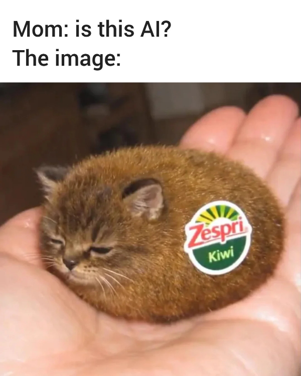 Absurd Memes from a Parallel Universe