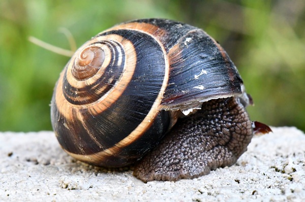 Useless Facts You Didn't Need to Know