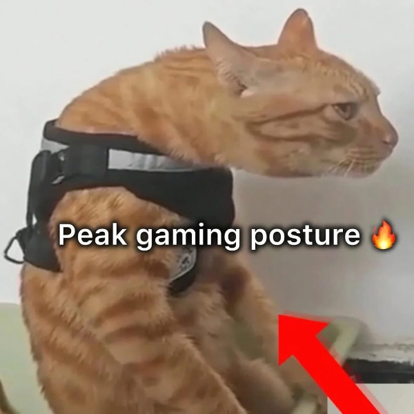 peak-gaming-posture-v0-g9dhn5ljb3te1.jpg