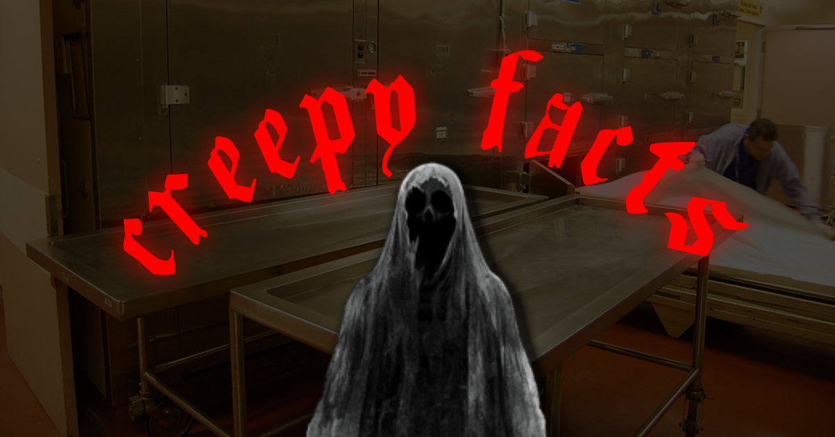 Creepy Facts That Will Chill You to the Bone