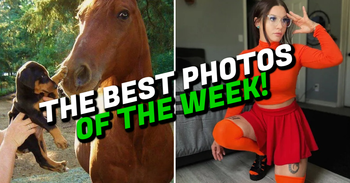 Best Photos of the Week!
