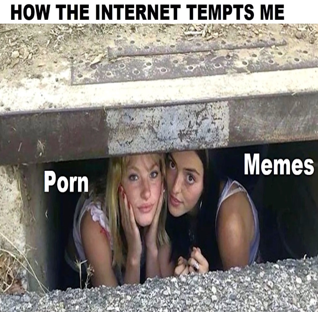 Cheesy Memes Funny Morning Sucks Photo Captions Best Randomness Pics