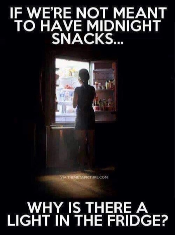 Mind-LESS Memes are Funny Stupid yet Too TRUE Top Humor Photo Captions