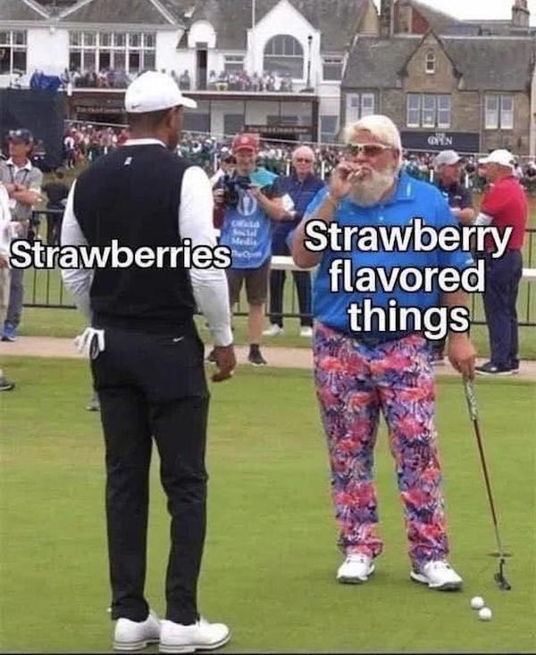 Mind-LESS Memes are Funny Stupid yet Too TRUE Top Humor Photo Captions