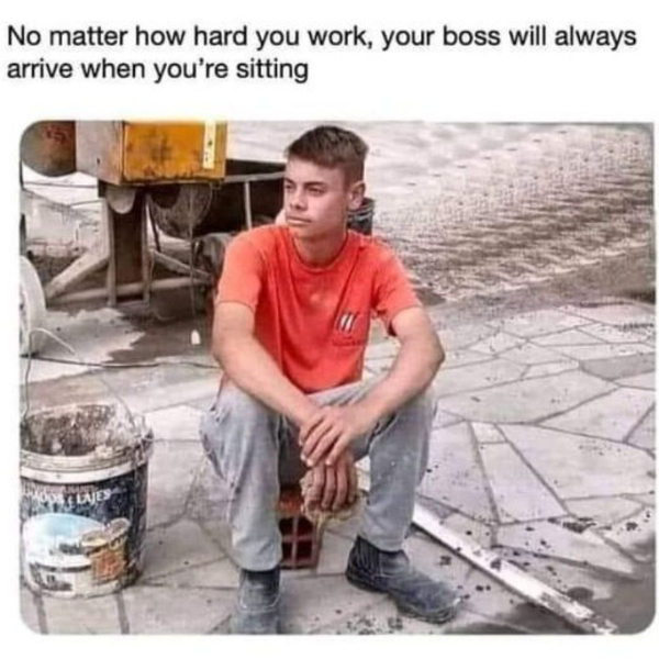 Lunchtime Scrolling, Work Memes