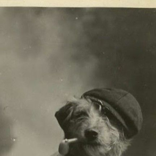 Puppers of the Past! (dogs, pet photos, history, photography)