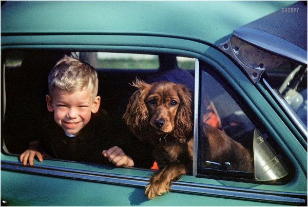 Puppers of the Past! (dogs, pet photos, history, photography)