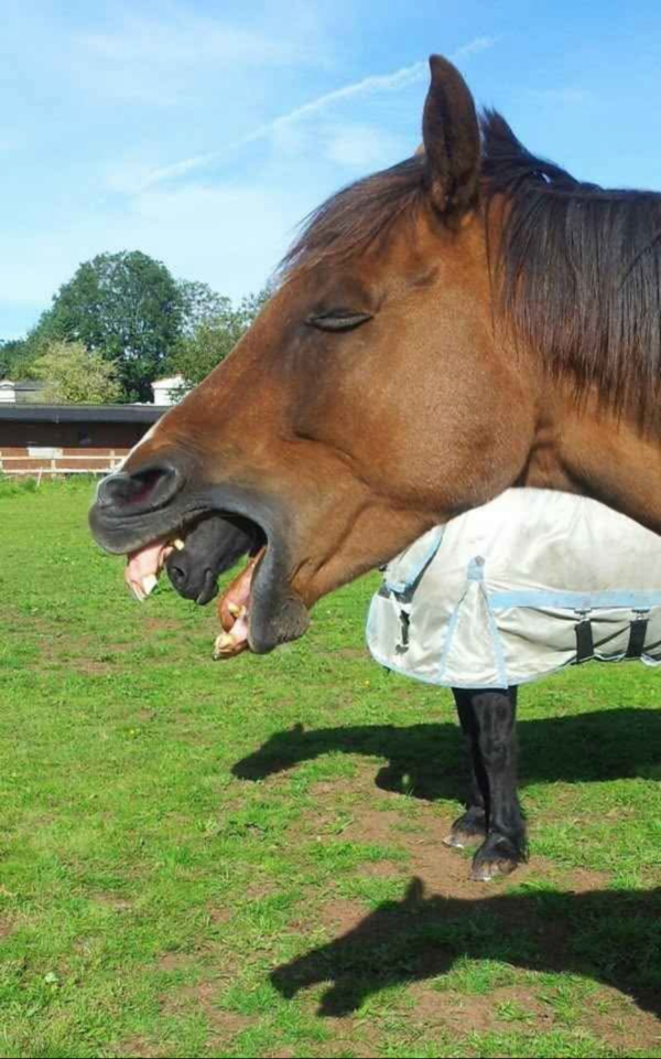 Daily Evening Randomness theCHIVE