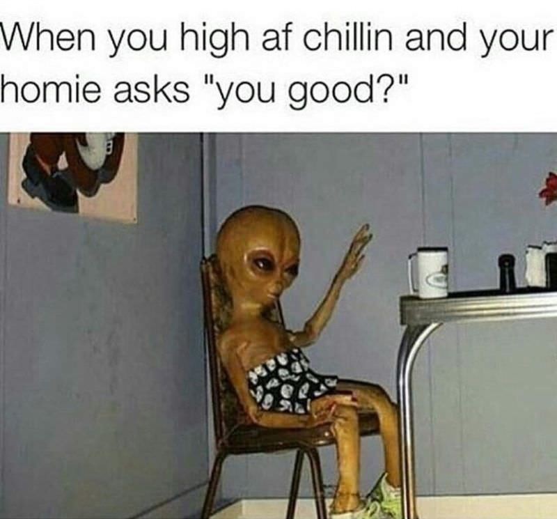 Dank Alien Memes to Make You Feel Less Alone