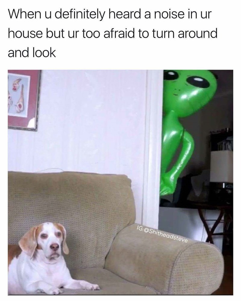 Dank Alien Memes to Make You Feel Less Alone