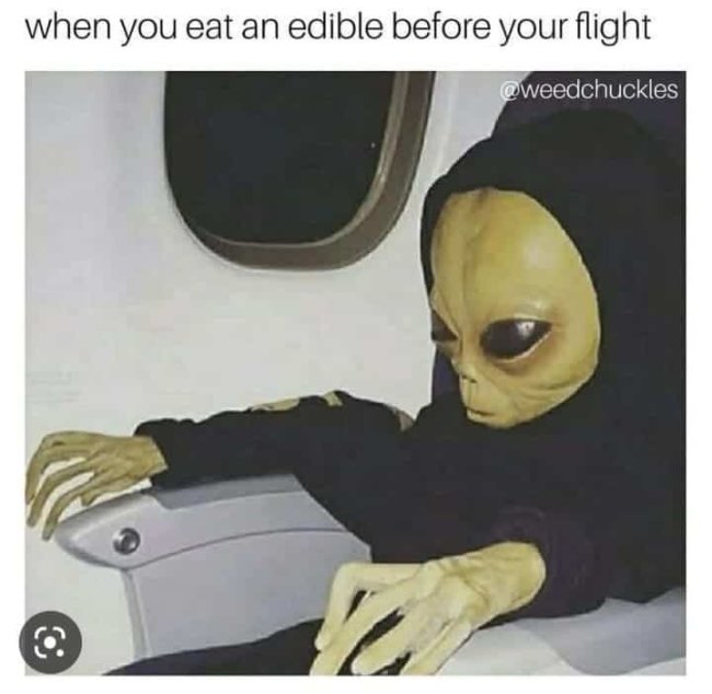 Dank Alien Memes to Make You Feel Less Alone