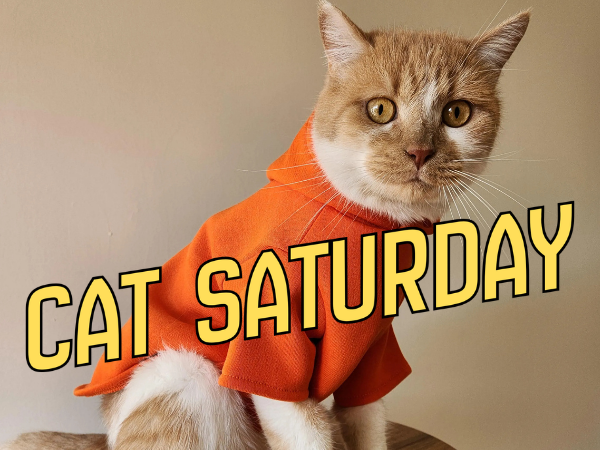 cat saturday (1)
