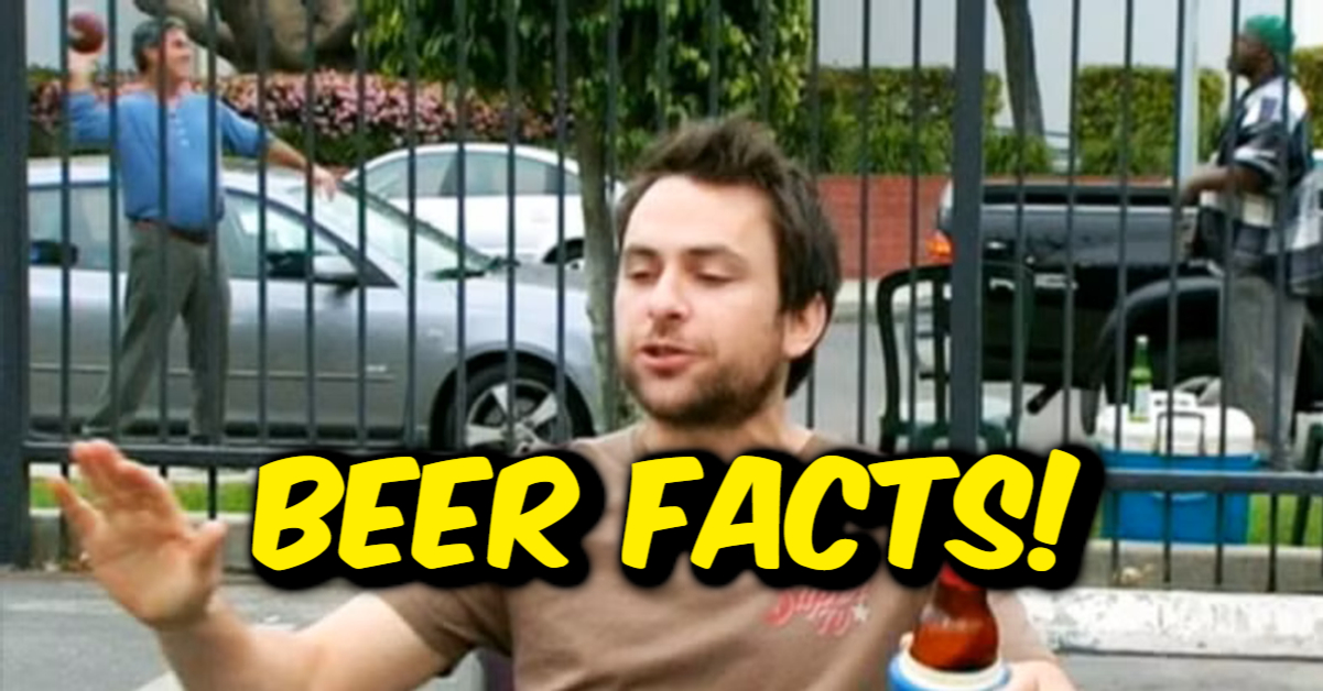Bottoms Up To BEER Facts!