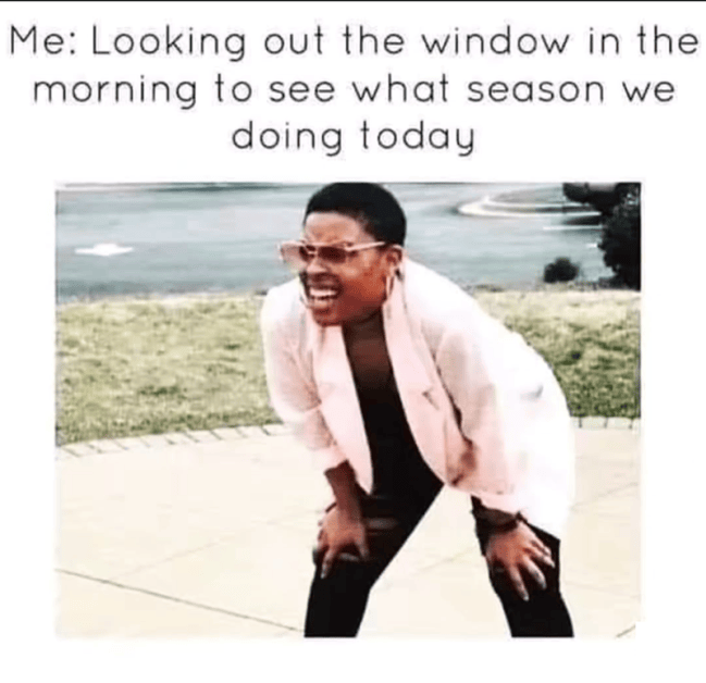 Spring Into Some Monday Morning Springtime Memes