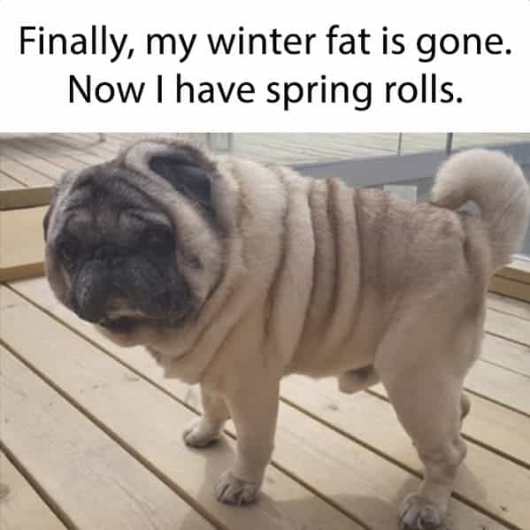 Spring Into Some Monday Morning Springtime Memes