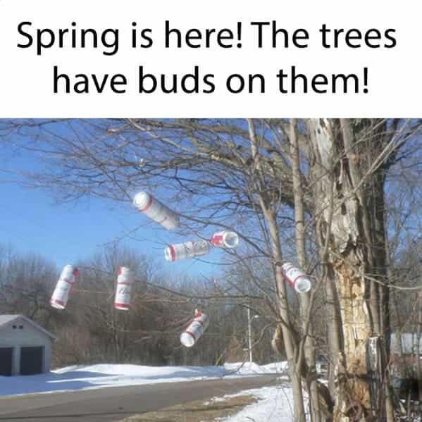 Spring Into Some Monday Morning Springtime Memes