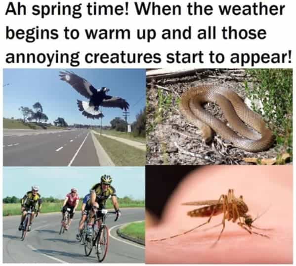 Spring Into Some Monday Morning Springtime Memes