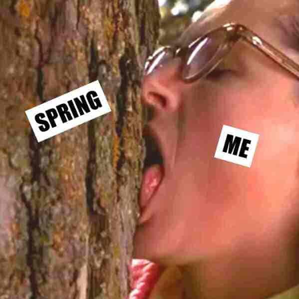Submit Time Meme Spring Spring Into Some Monday Morning Springtime Memes