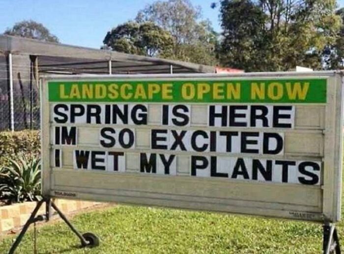 Spring Into Some Monday Morning Springtime Memes