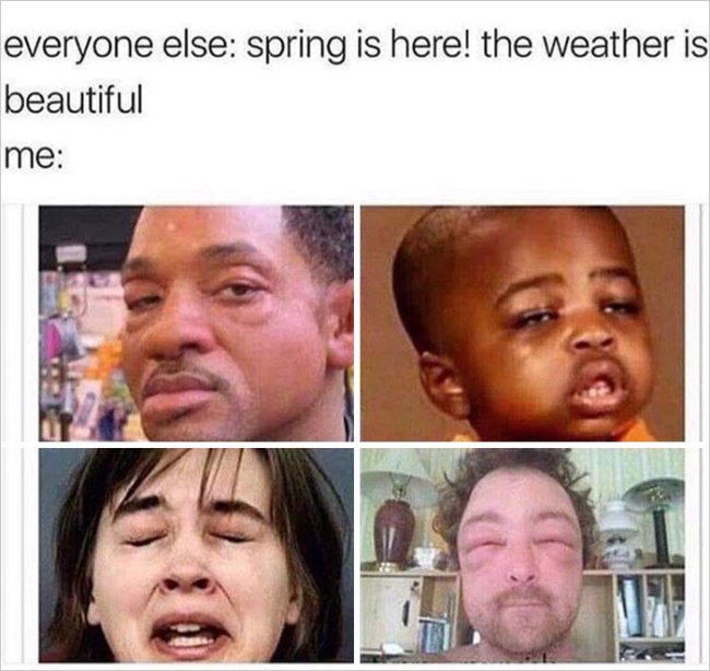 Monday Almost Spring Spring Into Some Monday Morning Springtime Memes