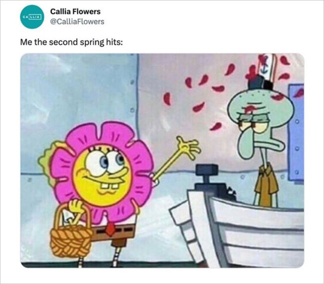 Submit Time Meme Spring Spring Into Some Monday Morning Springtime Memes