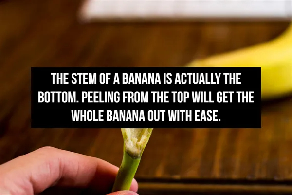 Random Life Hacks To Make Life A Little Less Awful