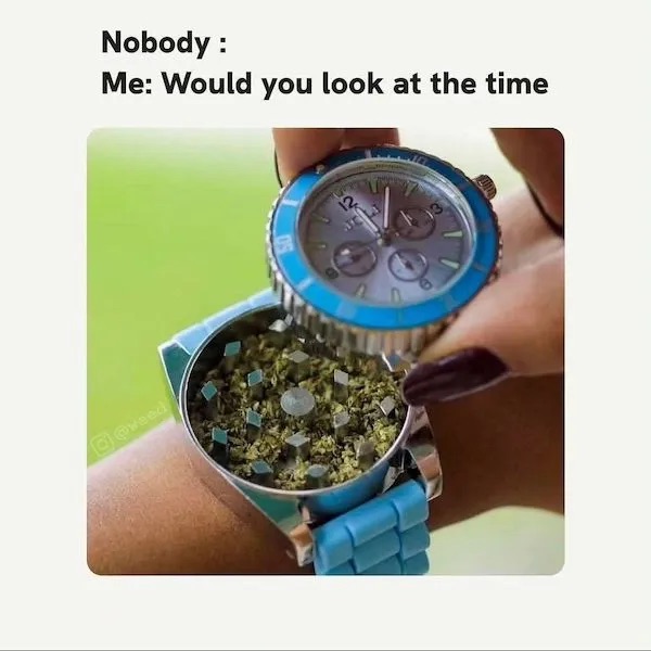 Puff, Puff, Pass the Laughs... (stoner memes, lifestyle, 420)