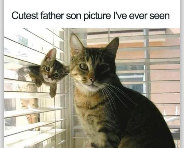 Daily Evening Randomness