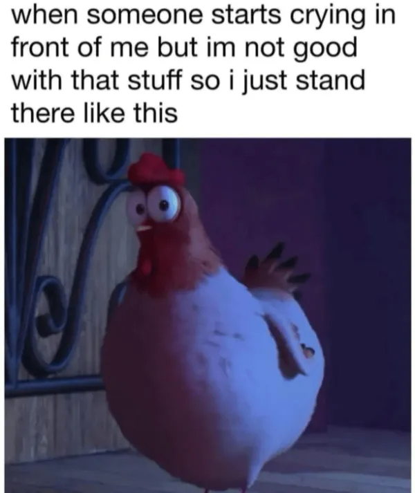 Awkward Memes For Awkward People