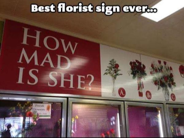 Cheesy Memes Funny Jokes Stupidly Simple Thoughts Photo Captions 2026