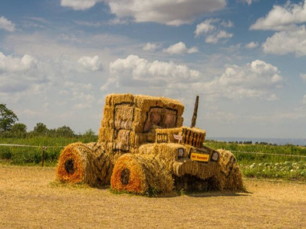 Weekend Afternoon Randomness