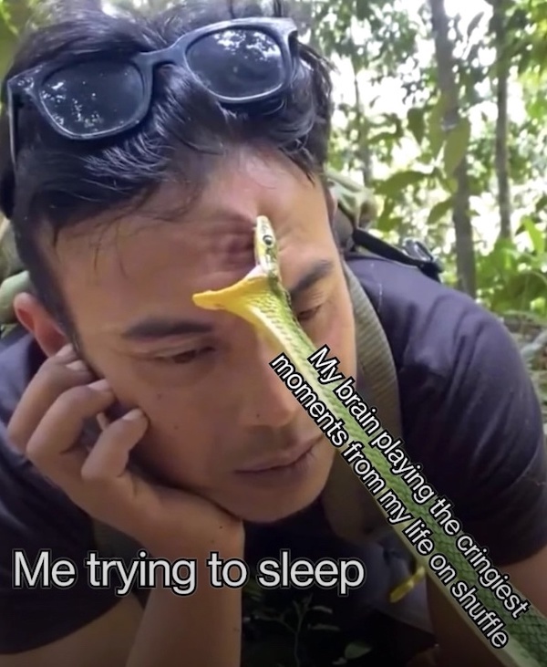 Mind-LESS Memes are Funny Stupid yet Too TRUE Top Humor Photo Captions