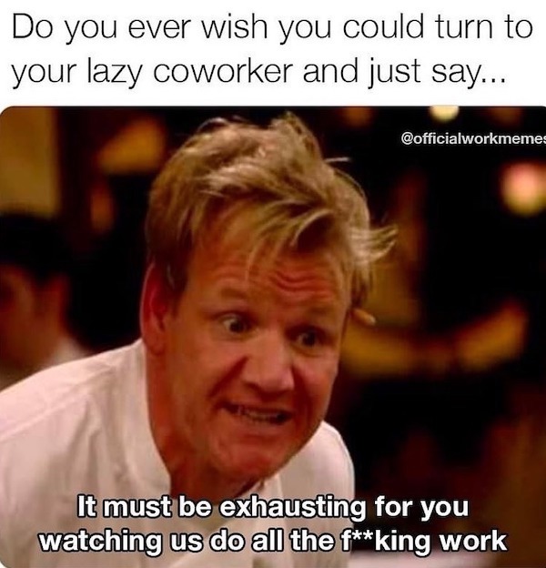 Mind-LESS Memes are Funny Stupid yet Too TRUE Top Humor Photo Captions