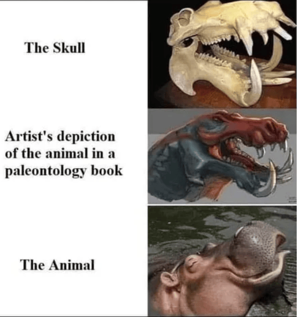 Mind-LESS Memes are Funny Stupid yet Too TRUE Top Humor Photo Captions