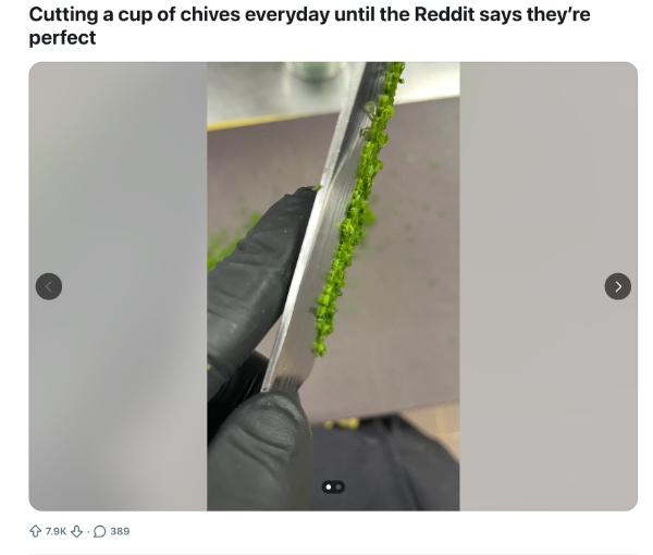 One Man's 70-Day Quest to Cut a Perfect Batch of Chives (reddit)