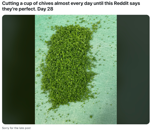 One Man's 70-Day Quest to Cut a Perfect Batch of Chives (reddit)